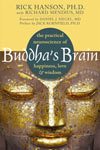Buddha's Brain, book cover