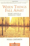 When Things Fall Apart, book cover