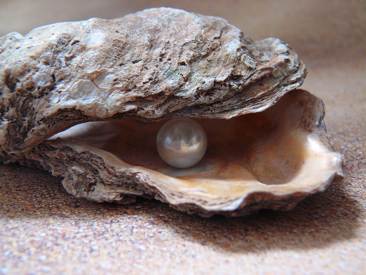 Hidden pearl
